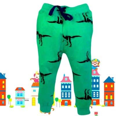 Haine baieti. Pantaloni trening dinozauri