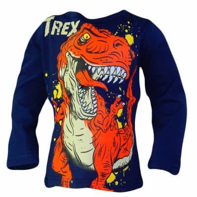 Bluze copii bumbac. Bluza baieti Dinozaur