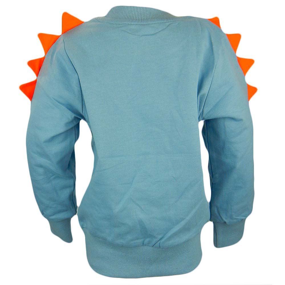 bluze-pentru-baieti