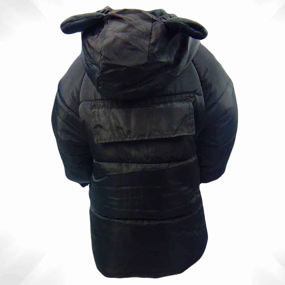 geci-iarna-copii – Copy